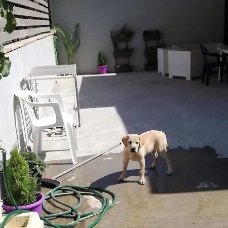 ROXY House Relax e natura Appartamento Piazza Armerina
